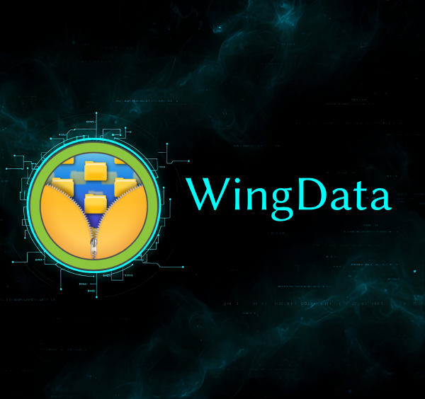HTB: WingData